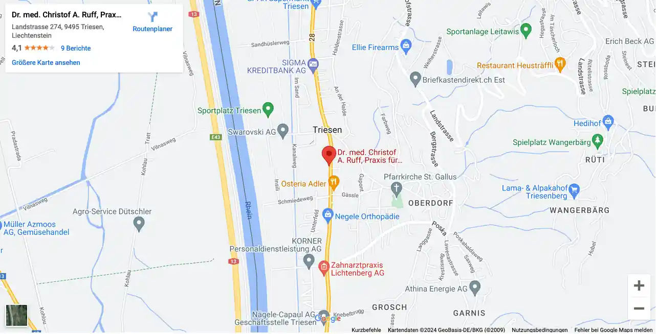 Google Maps - Map ID 92b94c4732